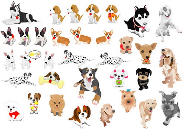 a variety of dog with White background