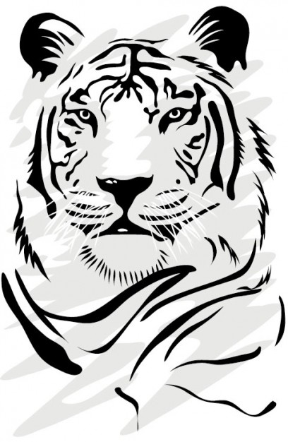 tiger face clip art picture in front view