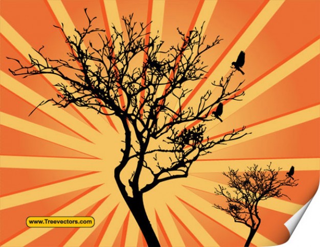 two tree with sunburst background