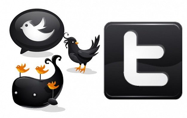 black twitter bird cetacean icons with White background