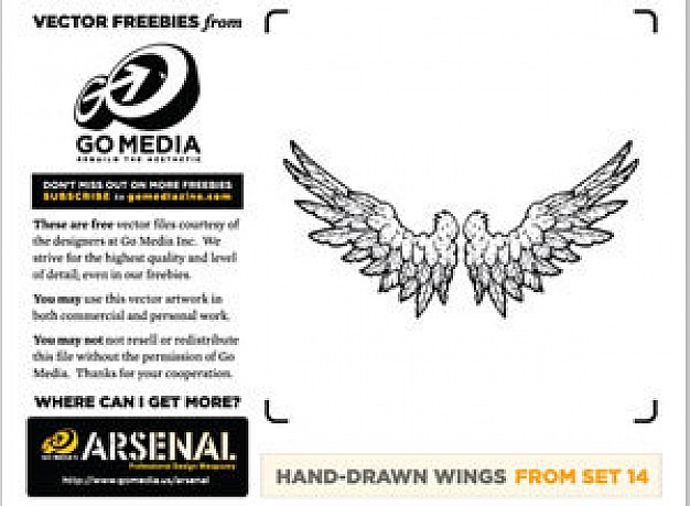 wing drawn by hand