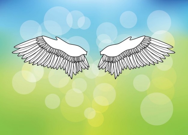 wings over light bubble background