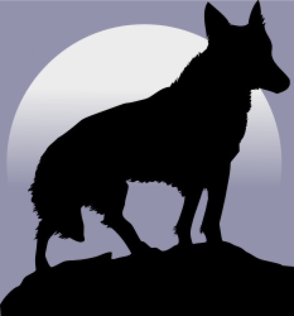 wolf on the mountain top with moon background