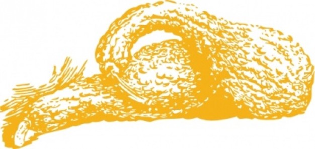 yellow sqaush clip art lying