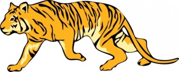 yellow tiger clip art walking in side view
