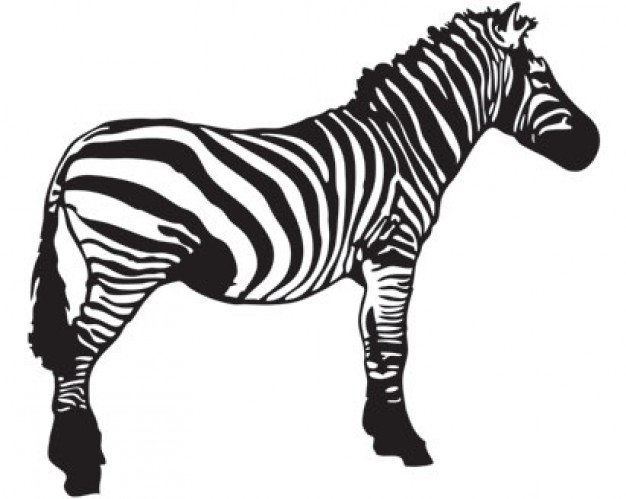 zebra clip art in side view