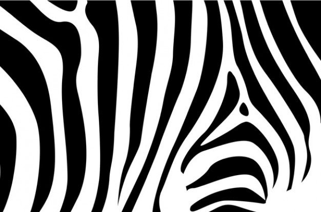 zebra shell pattern material