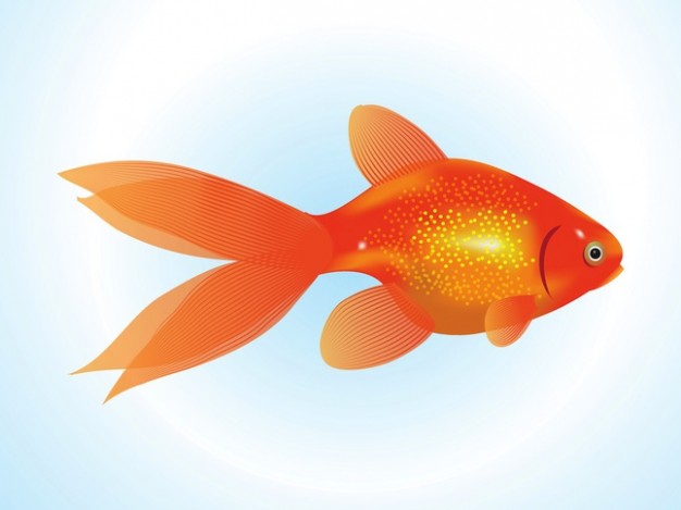 Goldfish aquatic animal vector with fantasy background