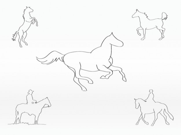 outlines of horses with snow white background