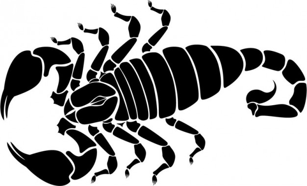 black and white Scorpion Image