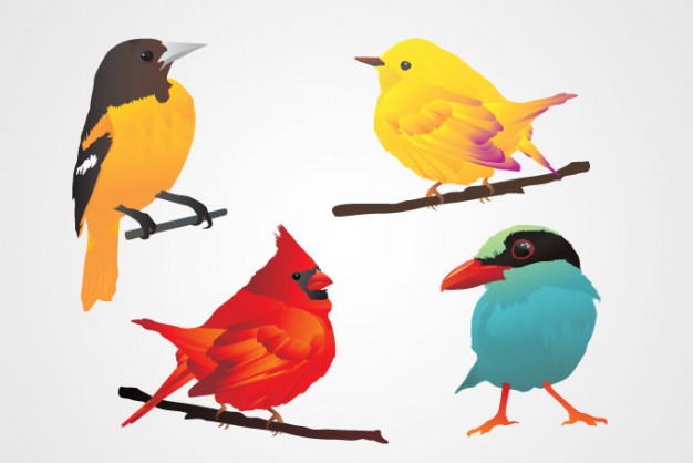 four type of colorful Birds in branch