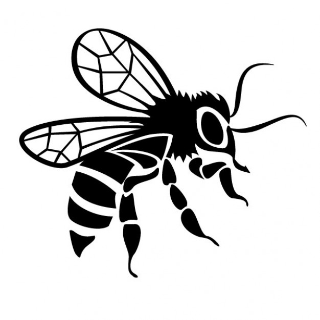 Black bee drawing image with white background