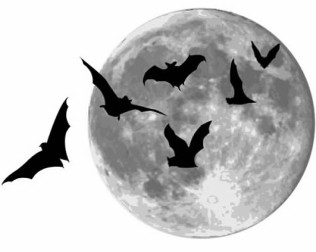 bats with moon background