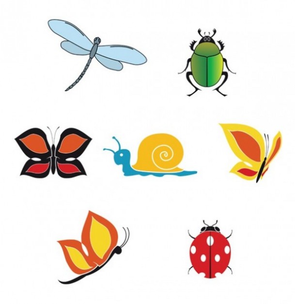 cute colorful insects set with white background