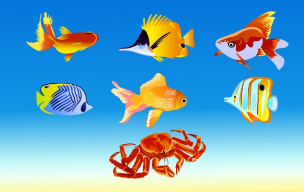 fish with sea water background