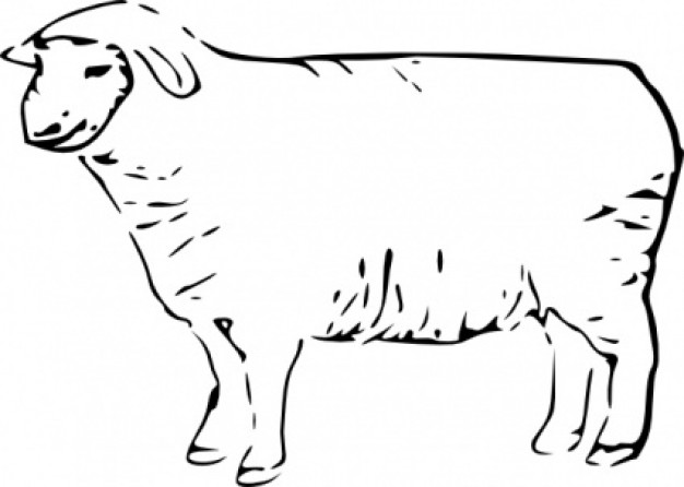 Single Sheep doodle clip art