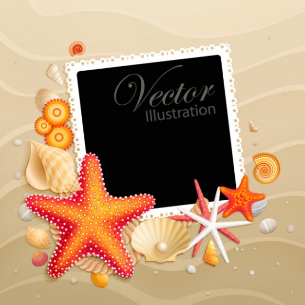 shells and starfish material with sand background