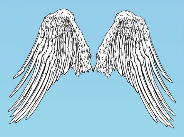flying Angel wings creature vector with blue background
