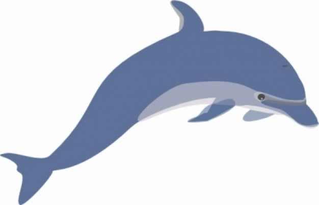 Dolphin clip art with white background