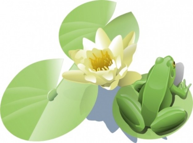 Frog On A Lily lotus leaves Pad  clip art