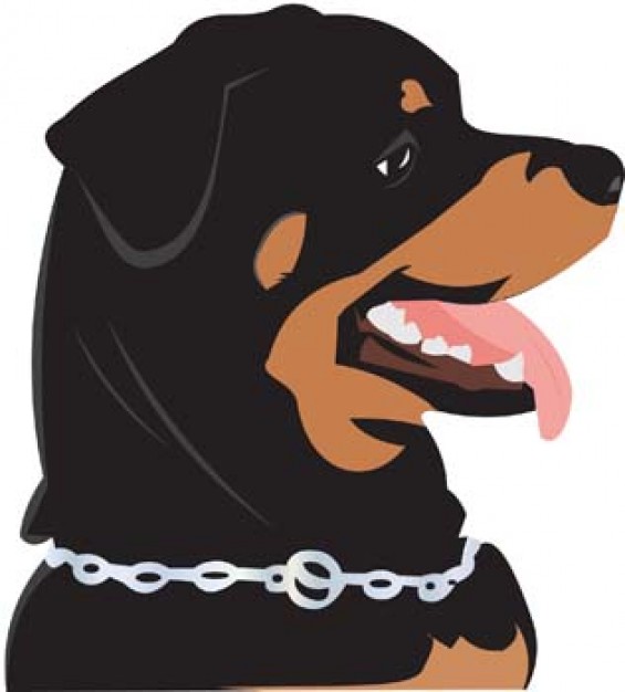 Rottweiler dog opening mouth with necklace