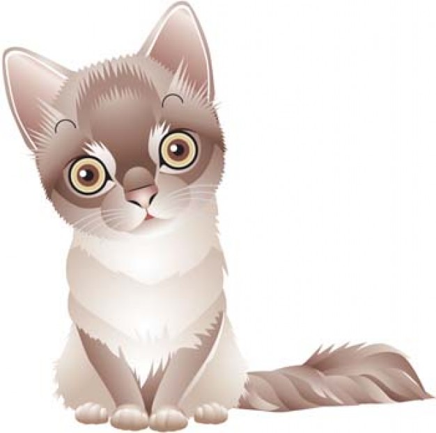 cute Cat sitting in front view