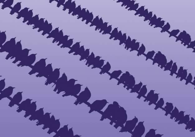 Birds on Wire with blue background