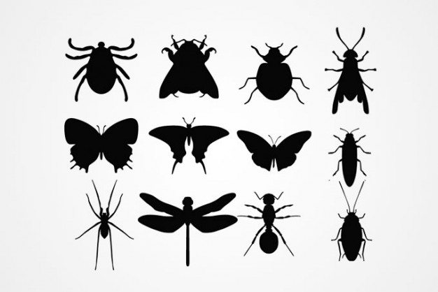 Insect Silhouettes set Vector with Ant etc