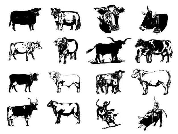 black and white paintings cattle picture