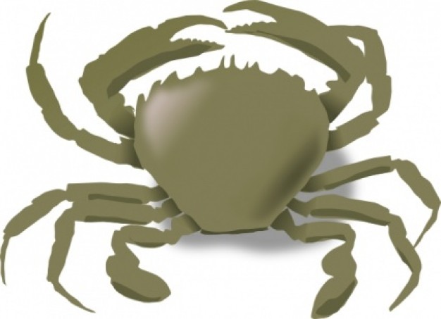 crab in dark green with gloss