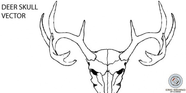 deer skull vector for logo design