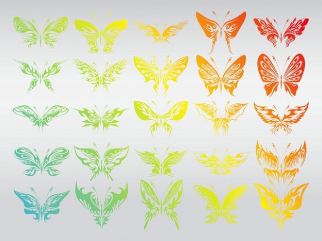 colorful butterflies set with gray background