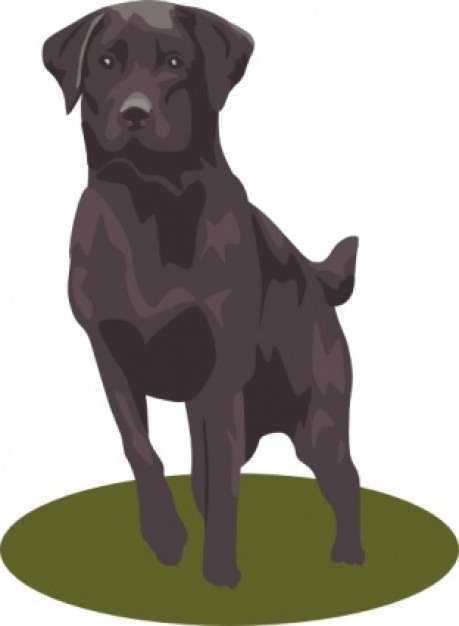 black Labrador Retriever on the plate clip art