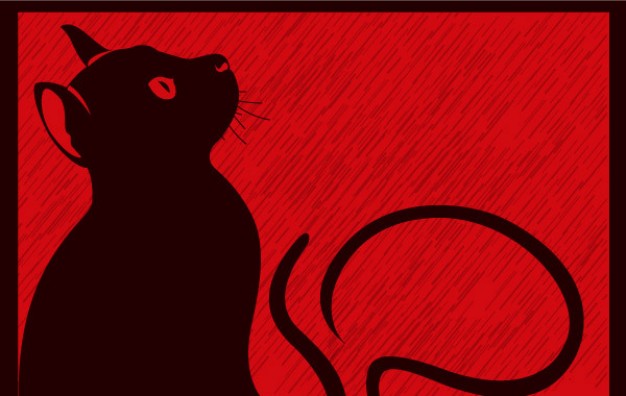 black cat lifting up its head with red background