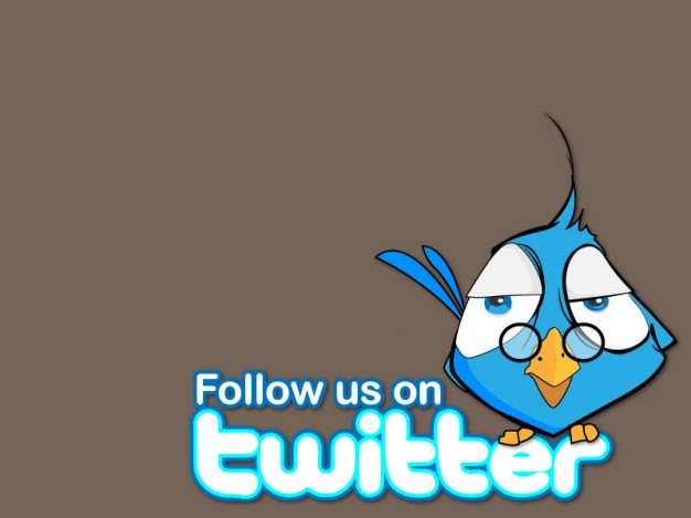 Twitter bird with Ironside Gray background