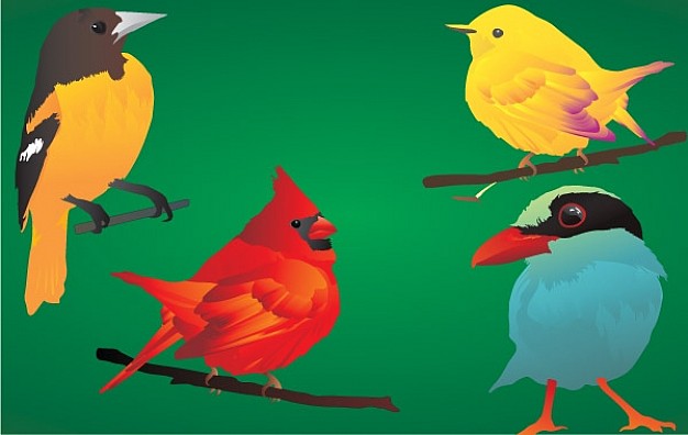 four beautiful detailed birds with Dell background