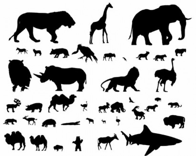 Animals Silhouettes with Shark Bear,Beast,Beluga,Bird,Bug,Bull etc