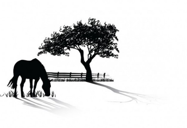 grazing horse silhouette with tree background pack