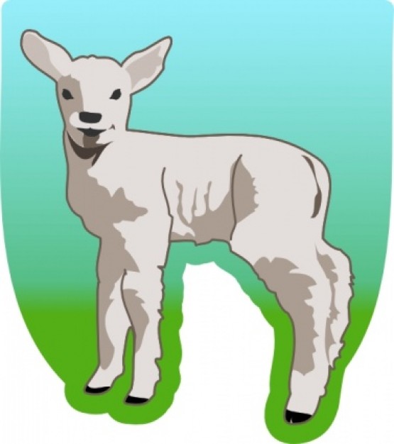 Small white Sheep clip art