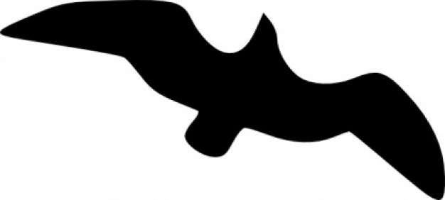 black Gull Flying bird clip art