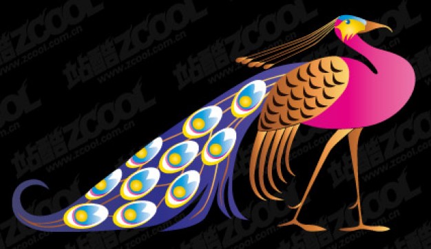 A beautiful elegant peacock side view vector material with dark background