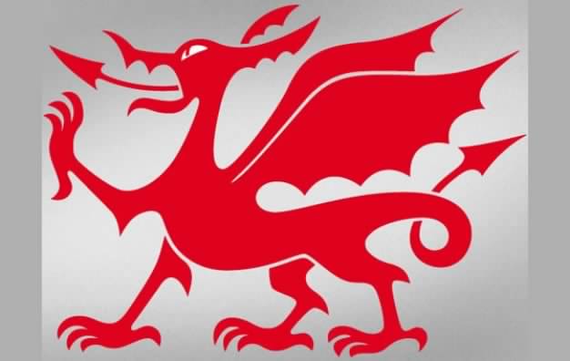 red welsh dragon with wing