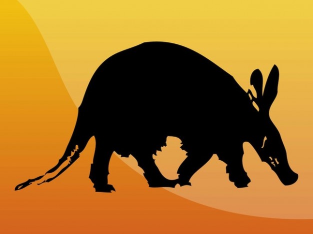 Aardvark side view silhouette of wild animal over orange background