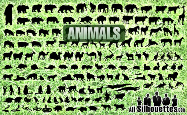 All animals vector set like bear elephant crocodile monkey etc