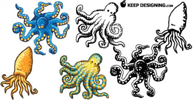 all kind of Octopus free vector