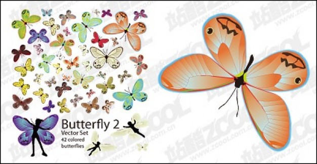 42 Butterfly of the material pattern