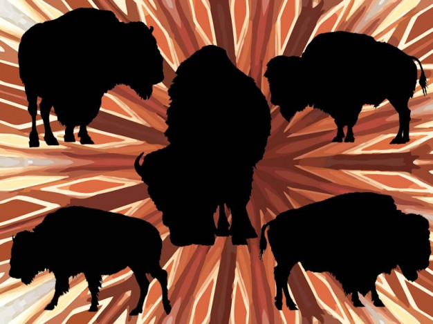 american wild buffalo vector pack with emanative lines at back