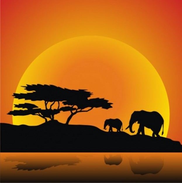 African animals of elephants and tree silhouettes with sunset background
