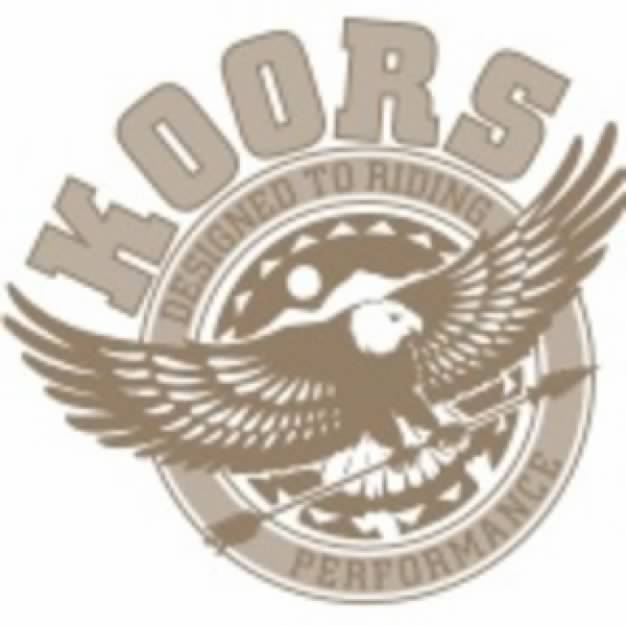 Animal logo Design with flying eagle and koors sign