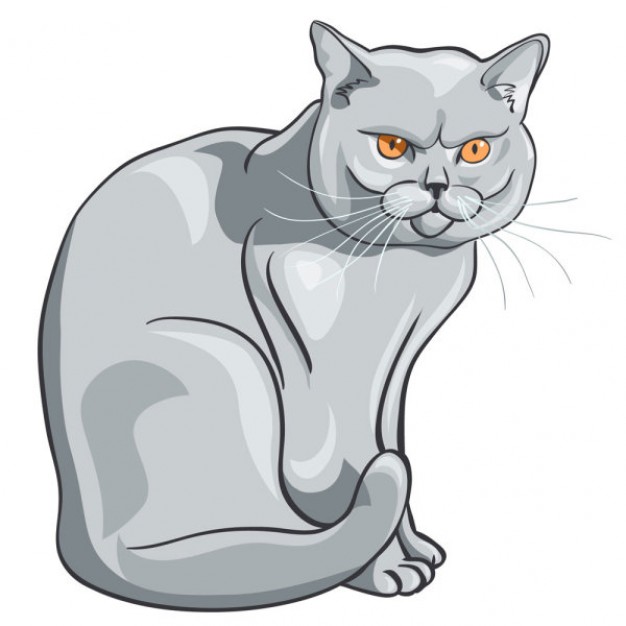 Animal material gray Cats clipart with orange eyes light